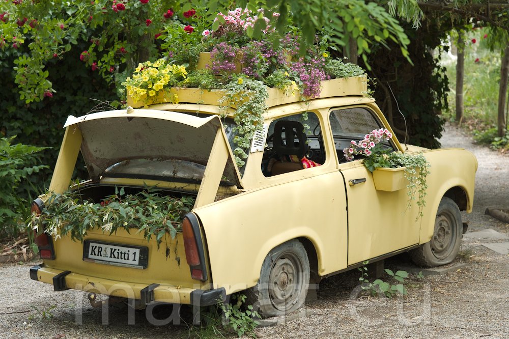 Car wreck used as flower bed
